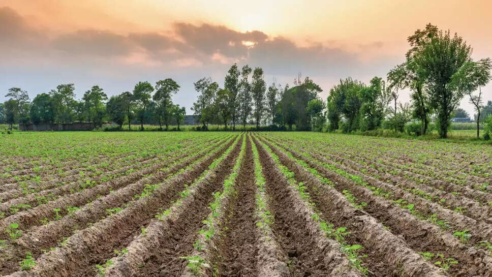 land rules news