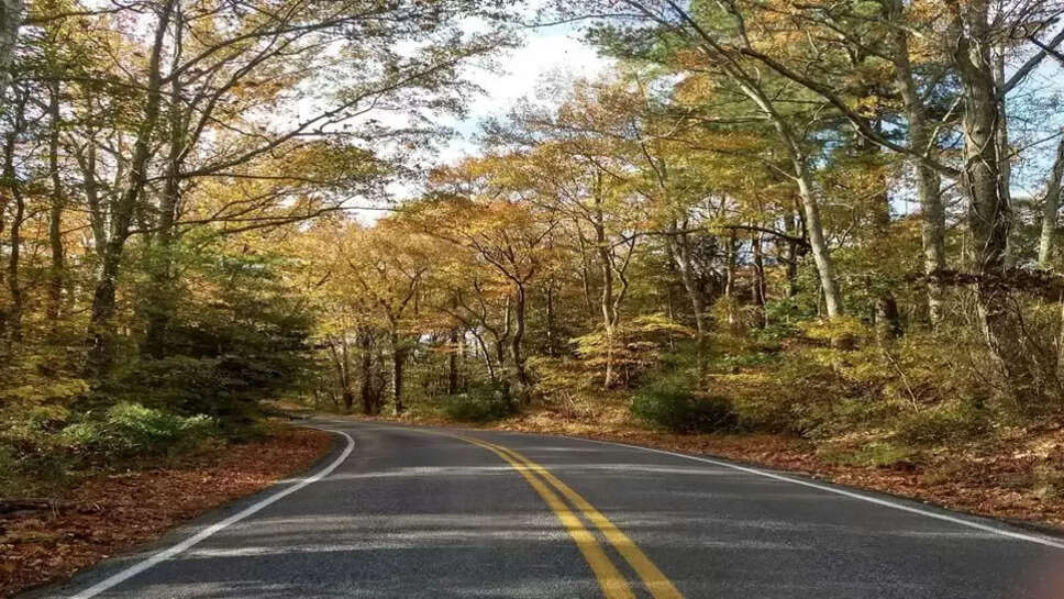 Clean roads