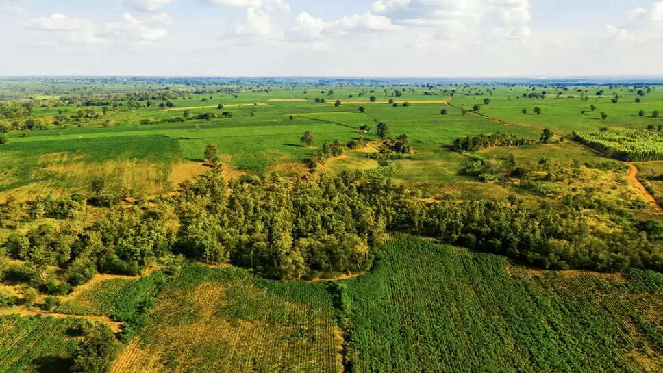 Land updates