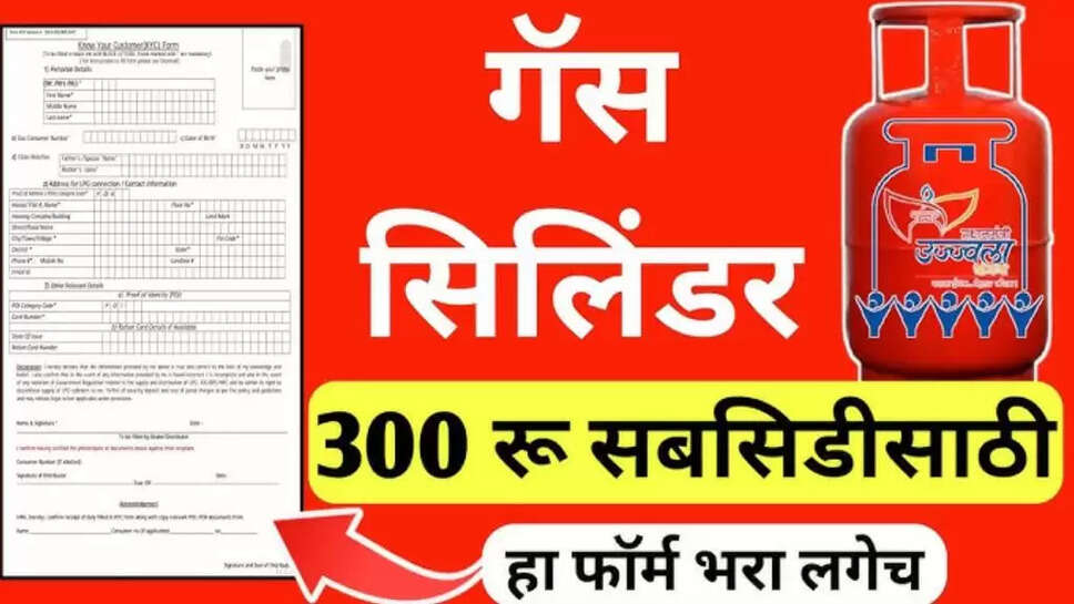 LPG Gas Subsidy Check