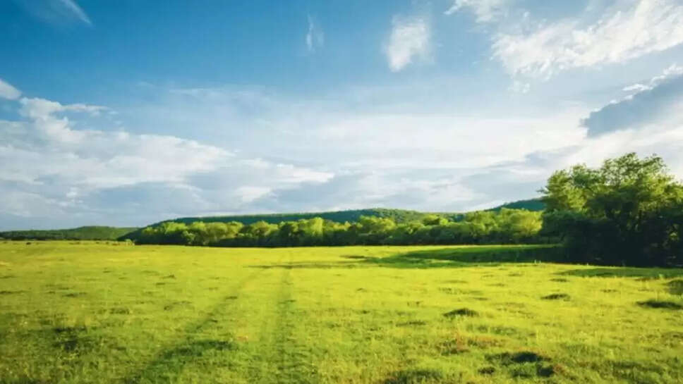 land news today