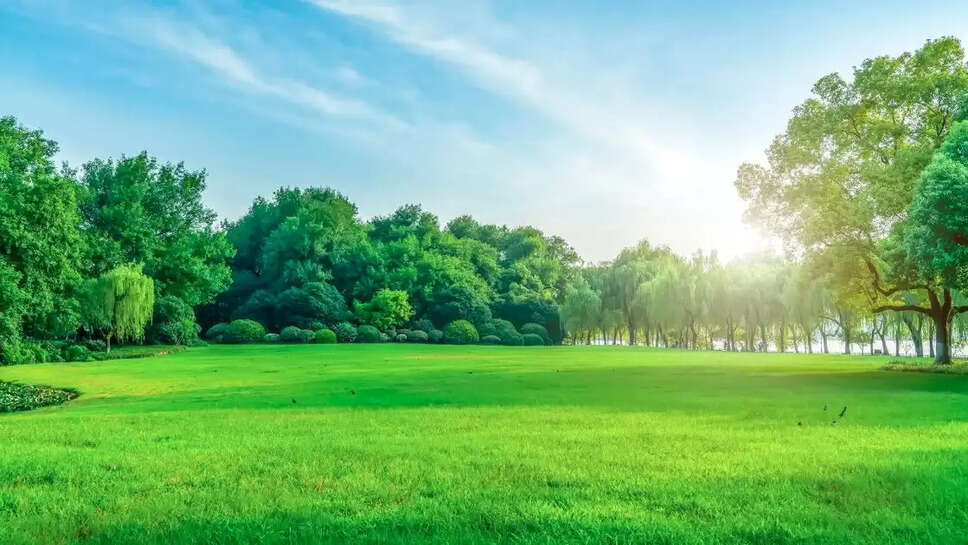 Land news